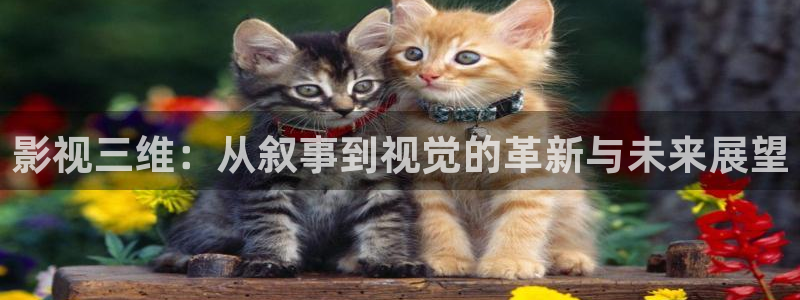 星空影院免费在线观看电影