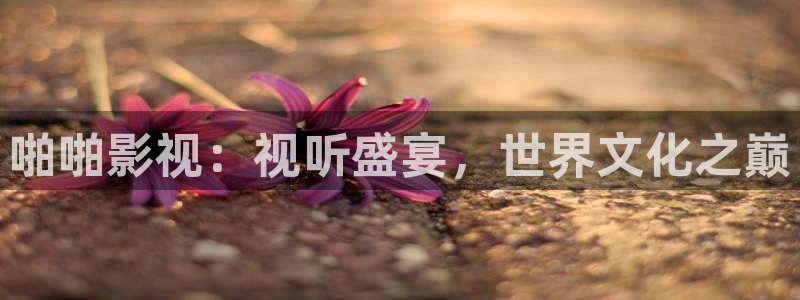 星空影院官网入口